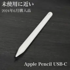 未使用に近い　2024年6月購入品　Apple Pencil USB-C