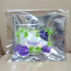 アイドリッシュセブン★ナンジャタウンネームバッジ逢坂壮五2個セットIDLiSH7