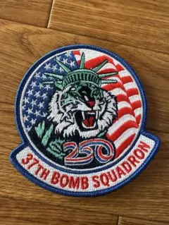 USAF 37th BOMB SQUADRONのサムネイル