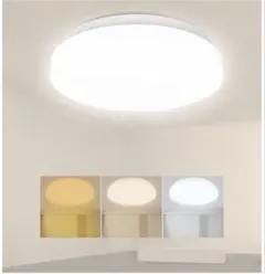 ともてん様 リクエスト 2点 まとめ商品