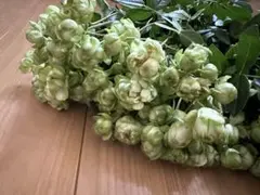 かいっちまみー様 リクエスト 2点 まとめ商品