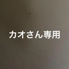 3DSソフト13本　ケースセット