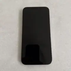 【ジャンク品】Apple iPhone 12 Pro Max SIMフリー 本体