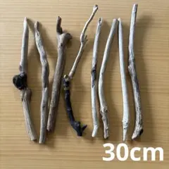 流木 8本セット 30cm前後　自然素材　ビーチコーミング