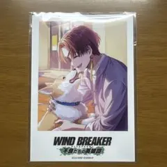 WIND BREAKER　蘇枋隼飛　カード