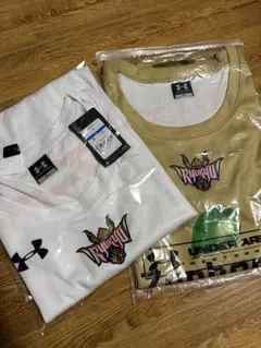 Item thumbnail for item 3a4924a7-c718-4426-9d39-c91487b817d2