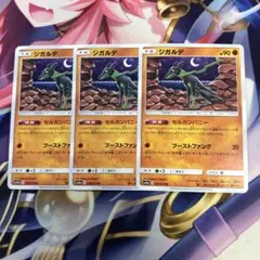 ポケモンカード　ジガルデ　セルカンパニー　SM10a ３枚セット