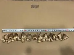 ふく様 リクエスト 2点 まとめ商品