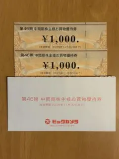 ビックカメラ株主優待券