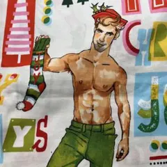 アレキサンダーヘンリー　サンタクロース　usaコットン