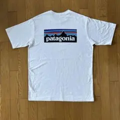 新品未使用 25春夏 Patagonia ハワイ限定 Tシャツ M P-6 - メルカリ
