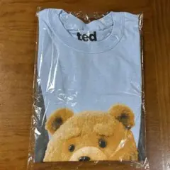 テッド Tシャツ ライトブルー