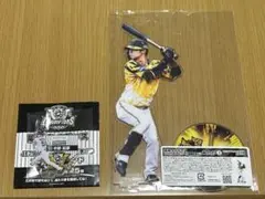 阪神タイガース 優勝記念 アクリルスタンド 中野拓夢