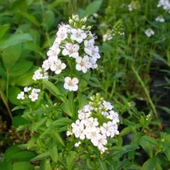 masao様 リクエスト 2点 まとめ商品