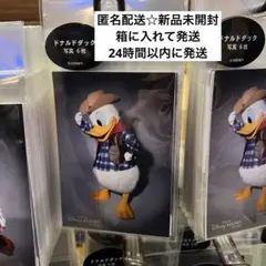 ドナルド　写真　セット　ディズニー