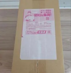 【新品・未開封】ポケモンセンター フクオカ スペシャルボックス