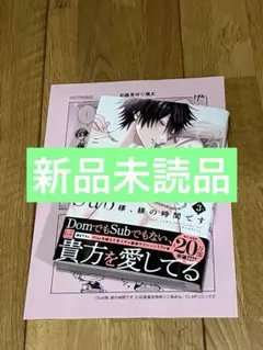 Sub様、躾の時間です 3 二条めも　応援書店特典ペーパー付