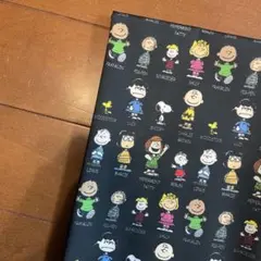 naho様 リクエスト 4点 まとめ商品