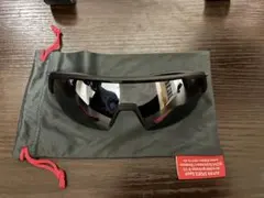 【値段交渉可】ALPINA サングラス