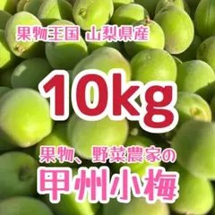 おひさま農園の農薬不使用 青梅 梅10kg - メルカリ