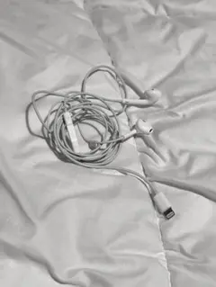 Apple純正 ライトニングイヤホン