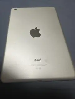iPad mini 16GB wifiモデル