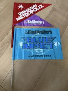 三代目J Soul Brothers ライブフラッグ 2種セット