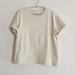 未使用 H&M シンプルS/S Tシャツ ベージュ アイボリー 無地 ミニTEE