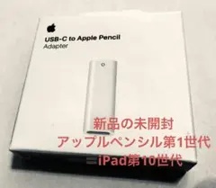 純正USB-CApplePencilAdapterアップルペンシルアダプター新品