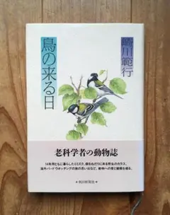 Item thumbnail for item 9f028d1c-1952-48dd-b506-e2437ce03823