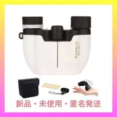 Item thumbnail for item 8352e52c-866b-4c05-b22c-ee4c60eb6212