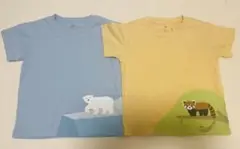 ★一度のみ着用　無印ホッキョクグマとレッサーパンダTシャツ2枚セット 100cm