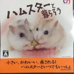 ハムスターと暮らそう/インターチャネル