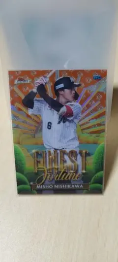 Item thumbnail for item fa332160-54a1-4516-9b80-77f8f0e02c46