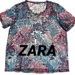 △ ZARA ザラ 総レース 刺繍 半袖 カットソー ブラウス トップス
