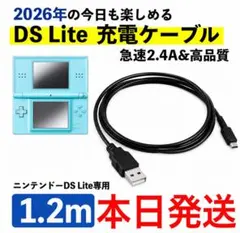 新品入荷※dsライト充電器※dslite充電ケーブル※本日発送
