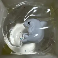 momo スクイーズ 海洋1弾 シロイルカ