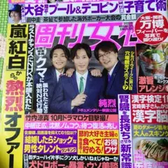 Item thumbnail for item 5432605d-7a39-4131-8cd2-c590cbc689ef