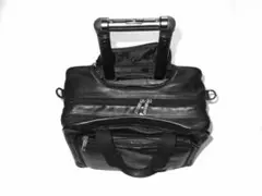 Item thumbnail for item 8d5911f4-e106-406c-a139-0af81c70ee2d