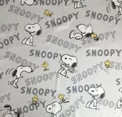 Item thumbnail for item a052c123-302a-4408-8a54-1a335362d001