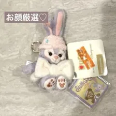 香港ディズニー　冬　ステラルー　ぬいぐるみチャーム　激レア商品