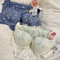 チュチュアンナ　刺繍　ホワイト　白 永遠のブラ　青　花柄　ブラジャーショーツ