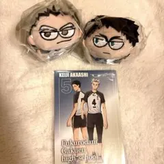 ハイキュー ジロリ たわらっこ 木兎　赤葦　特典付き