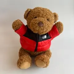 2025年最新】ノースフェイスぬいぐるみの人気アイテム - メルカリ