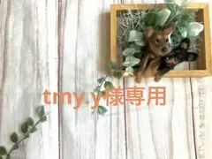 tmy.y様専用