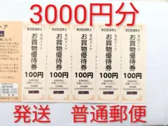 東武ストア お買物優待券 100円券　30枚　3000円分　東武鉄道　株主優待A
