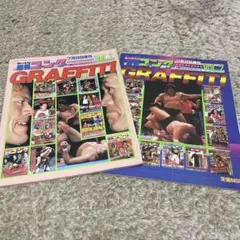 【希少】週刊ゴングGRAFFITI VoL.1 VOL.2 セット プロレス