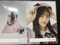 櫻坂46 向井純葉 生写真 まとめ売り