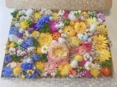専用品ʕ•ᴥ•ʔ♡ 花材詰め合わせ　ドライフラワー