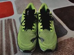 Item thumbnail for item 8c7860dd-77c3-4b7e-9e1b-4965115efb95